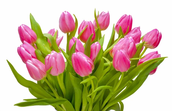 Strauß Tulpenblumen — Stockfoto