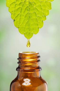 Alternatif Tıp, damlacık petrol öz bir yaprak tıbbi bir şişe içine çöküyor