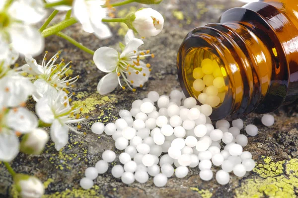 Homeopathische Bolletjes Als Therapie Voor Alternatieve Geneeskunde — Stockfoto