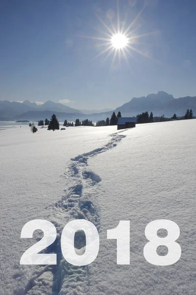 Noha kroky prostřednictvím čerstvý Prachový sníh do nového roku 2018 — Stock fotografie