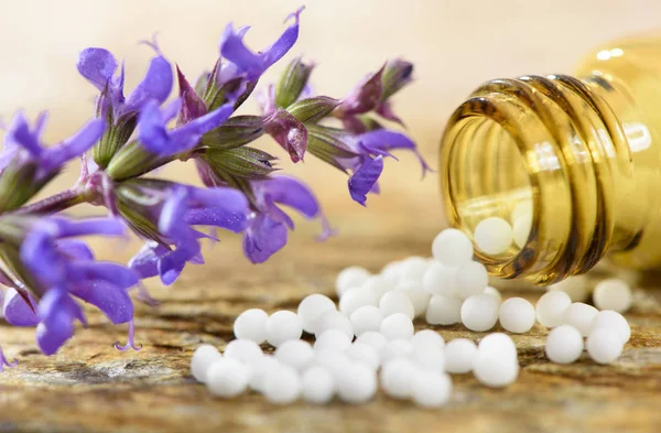Alternativní medicína s bylinnými a homeopatickými pilulkami — Stock fotografie