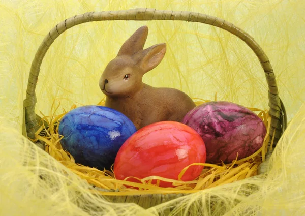 Paashaas en kleurrijke beschilderde eieren in nest — Stockfoto