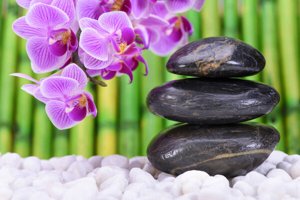 japanese zen garden with stacked stones and orchid flower