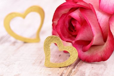Gül ile romantizm ve kalp simgesi olarak Sevgililer günü aşk için