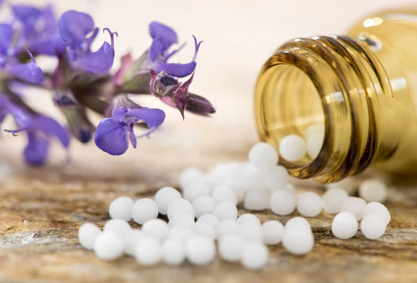 Alternatieve geneeskunde en therapie met homeopathische en kruiden pillen — Stockfoto