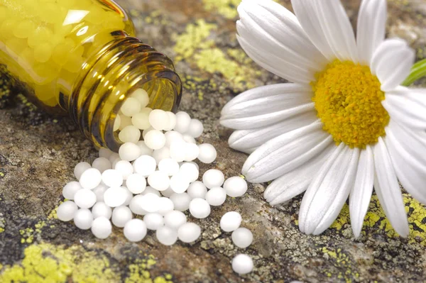 Medicina alternativa con píldora herbal de planta medicinal —  Fotos de Stock
