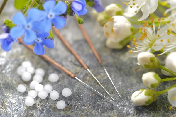Alternatieve geneeskunde en therapie met acupunctuur en homeopathische kruidenpillen — Stockfoto
