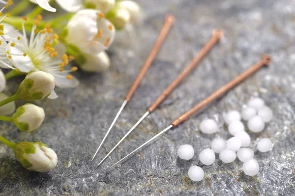 Alternatieve geneeskunde en therapie met acupunctuur en homeopathische kruidenpillen — Stockfoto