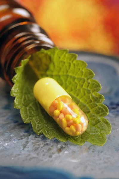 Alternativní medicína s bylinné pilulku, léčivé rostliny — Stock fotografie