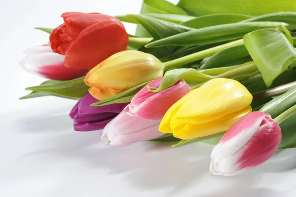 Bos van kleurrijke Pasen tulpen — Stockfoto