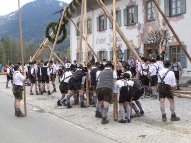 Bavyera'da özel 1 Mayıs direği kas gücü ile dekore edilmiş bir ağaç ve geleneksel giyim çok erkeklerde ayarlamak için