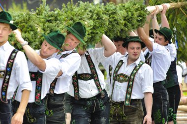 it is custom in Bavaria on May 1st to set up a decorated tree as maypole with muscle power and many men in traditional clothing clipart