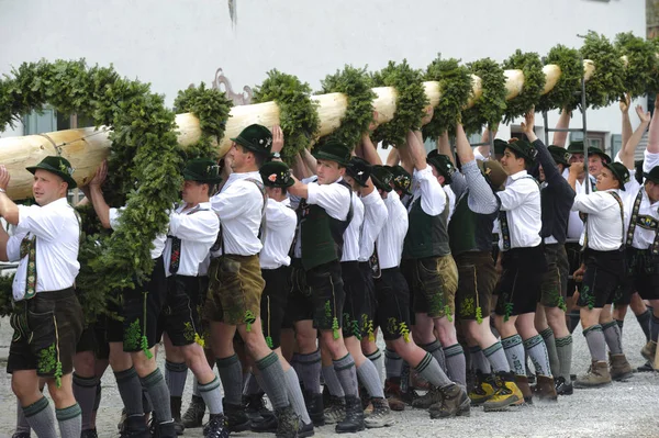 È consuetudine in Baviera il primo maggio per impostare un albero decorato come palo di maggio con la forza muscolare e molti aiutanti in abbigliamento tradizionale — Foto Stock