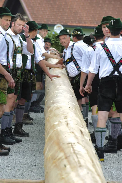 Costumbre Baviera Mayo Establecer Árbol Decorado Como Poste Mayo Con —  Fotos de Stock