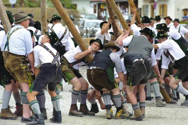 Bayern Ist Brauch Mai Einen Geschmückten Baum Als Maibaum Mit — Stockfoto