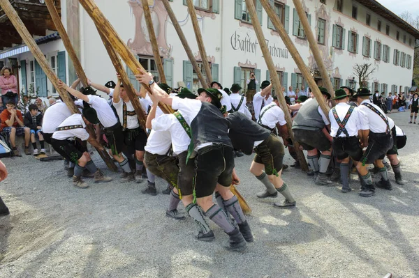 Costume Baviera Maio Para Configurar Uma Árvore Decorada Como Maypole — Fotografia de Stock