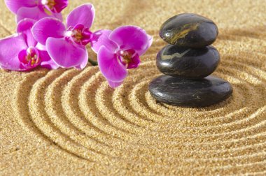 Japon Zen Bahçe sakin taş dokulu kum