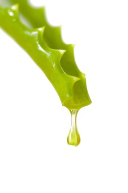 alternatif tıp ile bitkisel ve Homeopatik özü