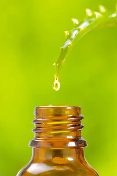 Medicina alternativa con esencia herbal y homeopática — Foto de Stock