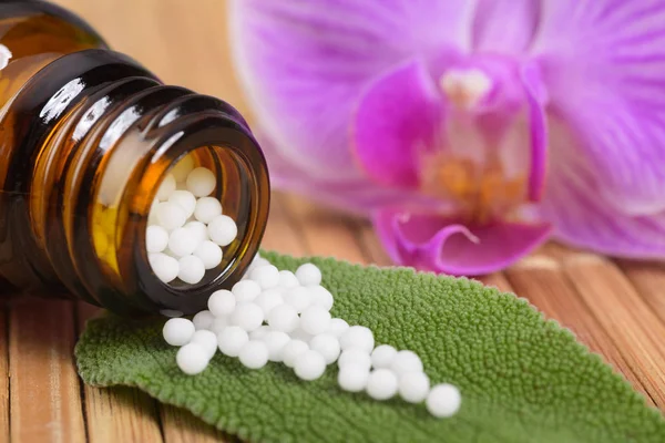 Medicina alternativa com ervas e pílulas homeopáticas — Fotografia de Stock