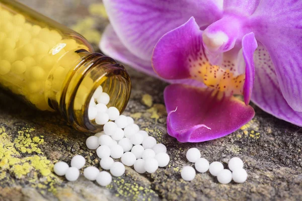 Medicina alternativa com ervas e pílulas homeopáticas — Fotografia de Stock