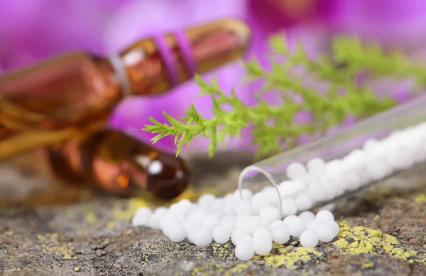 Alternative Medizin mit pflanzlichen und homöopathischen Pillen — Stockfoto