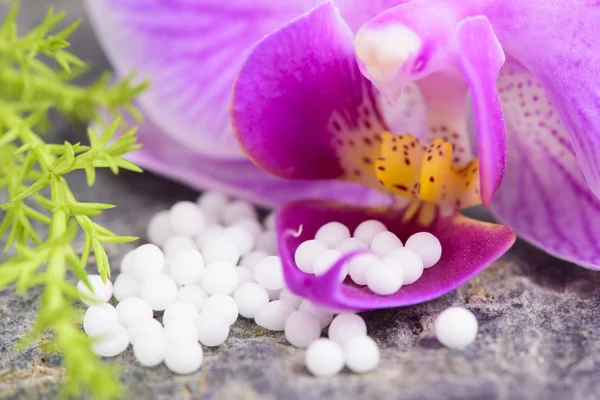 Alternativ medicin med växtbaserade och homeopatiska piller — Stockfoto