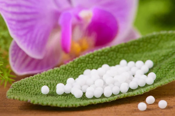 Alternatieve geneeskunde met kruiden en homeopathische pillen — Stockfoto