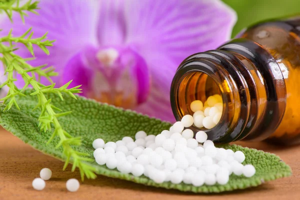 Alternative Medizin mit pflanzlichen und homöopathischen Pillen — Stockfoto