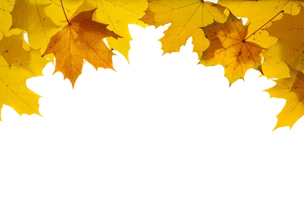 Borda com outono folhas coloridas isoladas sobre fundo branco — Fotografia de Stock