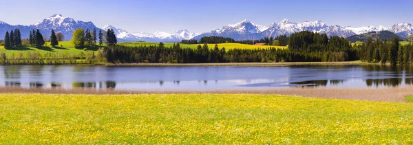 Панорамный пейзаж Баварии с альпийским хребтом и озером — стоковое фото