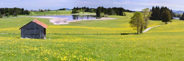 Paisaje panorámico en Baviera con alpes cordillera y lago — Foto de Stock