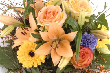 renkli çiçek beyaz arka plan üzerinde izole demet