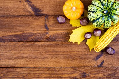kabak ve yaprakları ile sonbahar dekorasyon