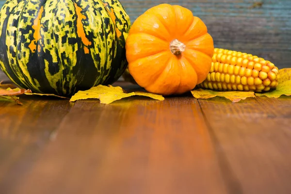 Decoración de otoño con calabaza y hojas — Foto de Stock