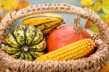 kabak ve yaprakları ile sonbahar dekorasyon