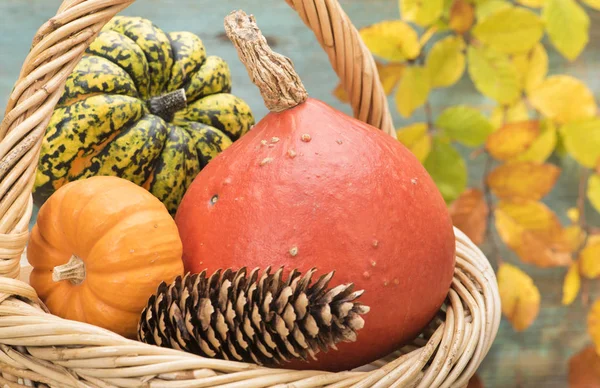 A tök és a levelek őszi dekoráció — Stock Fotó