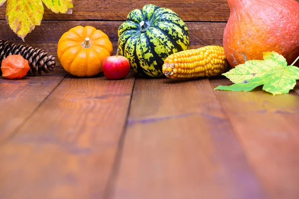 Decoración de otoño con calabaza y hojas —  Fotos de Stock