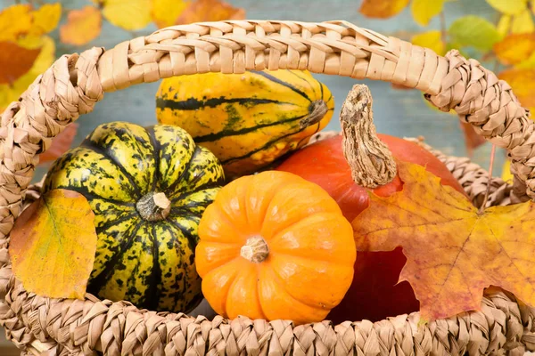 Autumn decoration with pumpkin and leaves Stock Photo