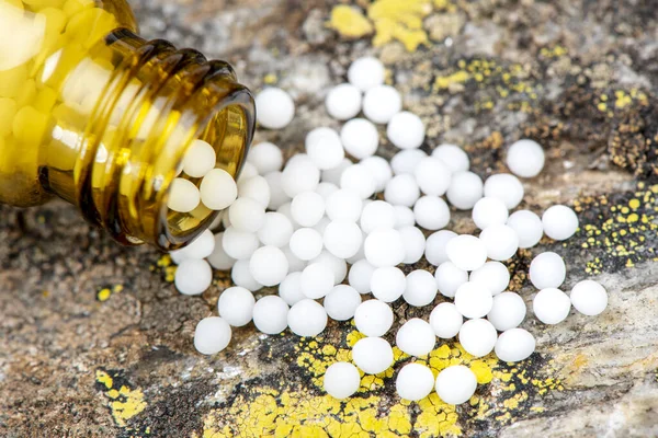 Médecine Alternative Avec Des Pilules Base Plantes Homéopathiques — Photo