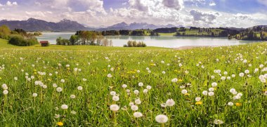 Alp dağlarının önünde çayır ve göl olan panoramik manzara