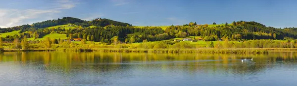 Panoramiczny Krajobraz Łąką Jeziorem Przed Górami Alp — Zdjęcie stockowe