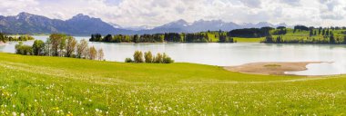 Alp dağlarının önünde çayır ve göl olan panoramik manzara