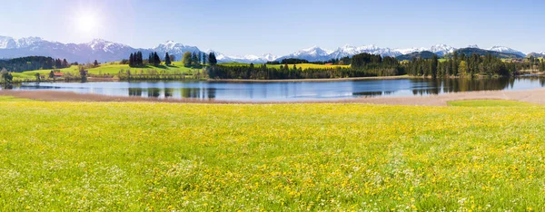 Paysage Panoramique Avec Prairie Lac Face Des Montagnes Des Alpes — Photo