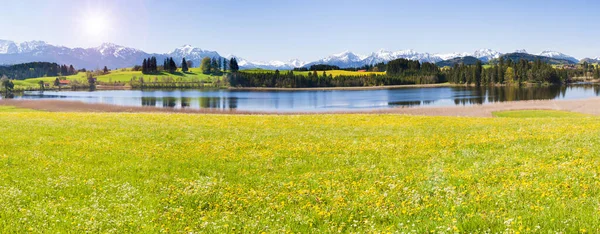 アルプスの山々の前に草原や湖が広がるパノラマ風景 — ストック写真