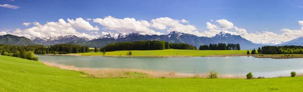 Panoramisch Landschap Met Weide Meer Voorkant Van Alpen Bergen — Stockfoto