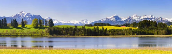 アルプスの山々の前に草原や湖が広がるパノラマ風景 — ストック写真