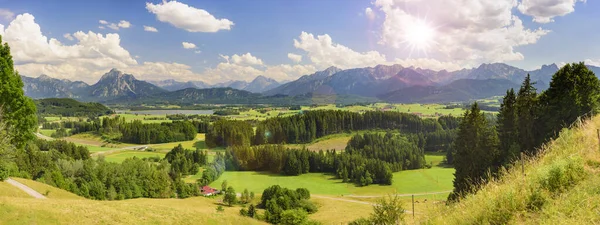 Panoramiczny Krajobraz Łąką Jeziorem Przed Górami Alp — Zdjęcie stockowe