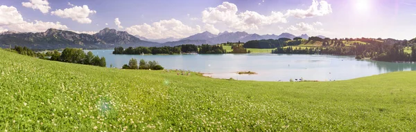 Paysage Panoramique Avec Prairie Lac Face Des Montagnes Des Alpes — Photo