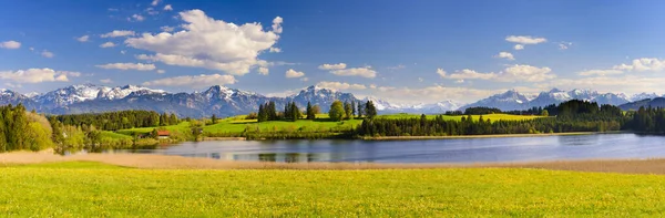 Panoramalandschaft Mit Alpenbergen Hinter Blumen Und See Frühling — Stockfoto